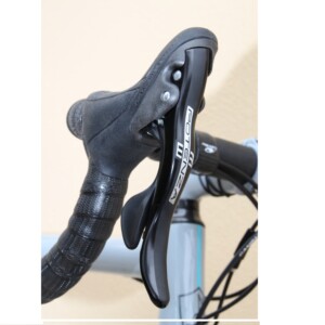 Wild sheep are not hard to dodge on the gruellingly steep climb from Astern to the Mynd.